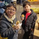 봉암동 버스정류소앞 | 아이와 노랑풍선 시티투어버스 2층버스 타본 후기