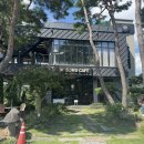 송카페 - 동구 회남로 271 | 송카페