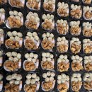 홀츠하임어린이집 이미지