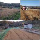 동막농장 이미지