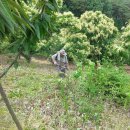 수암동물병원 이미지