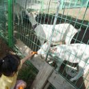 순줄농장 | 두드림농장, 포항 동물 체험 할 수 있는 주말에 아이랑 가볼만한 곳, 과일따기 이색 팜투어