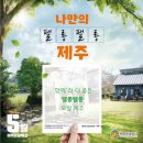 팰롱팰롱 이미지