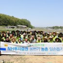 당동2리 이미지