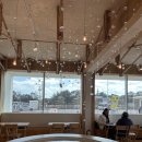 동화목장 | 제주 동화마을 카페 성이시돌목장 미스터밀크 송당 메뉴 수유실 디저트 후기