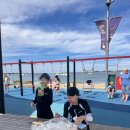 (주)돌핀수영 | 뉴질랜드 17일차 : 타우랑가 오늘은 돌핀크루즈… 였어야 했다. 🐬