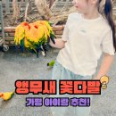 소이공작 | 가평 아이랑 실내동물원 베고니아새정원 먹이주기 체험