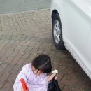 금호농약사 이미지