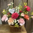 더모먼트플라워 이미지