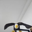 수선동물병원 이미지