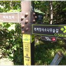 공산초교 이미지