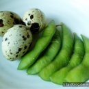 송정한우 이미지