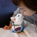 카페삼달