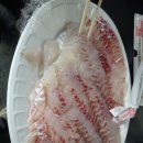 회맛(참돔)/바다낚시다녀와서요. 이미지