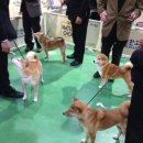 안녕유유