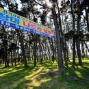 춘장대캠핑장 이미지