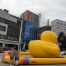 회포마차 이미지