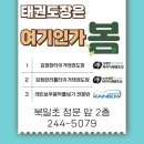 레인보우 태권도장 이미지