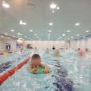 퍼스트스윔 울산점 | 울산 남구 어린이전용 수영장 / 수영강습 '울산 퍼스트스윔 키즈수영장'