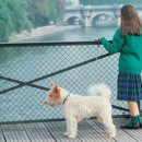 21세기 동물병원 이미지