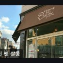 셀린 펫 살롱 이미지