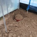 성형목장 이미지