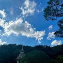 향-녹음의 계절 이미지