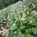 청정2농장 이미지