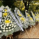 서현초교 앞 이미지