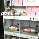 아델 동물병원 이미지