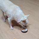 이지메디 이미지