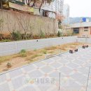 당리중학교 이미지