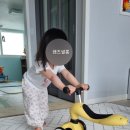 붕붕카마스타 이미지