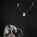 럭셔리스튜디오 이미지