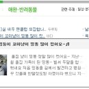 띵똥PC 이미지