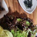 예술인마을 펜션 | 남해가볼만한곳/남해멸치쌈밥맛집/남해다랭이마을맛집/남해다래이마을근처맛지/남해현지인맛집