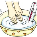 세수뷰티