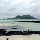 외룡카포스 이미지