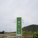 제주찰리아저씨
