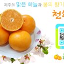 한밭농장 이미지