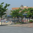 문화초등학교 이미지