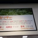 삼산면사무소 이미지