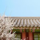 맛의부활 | 고려시대 음식 재현 프로젝트: 잊혀진 맛의 부활