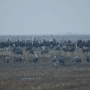 충남야생동물구조센터 이미지