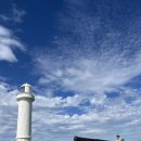 울릉관광호텔 | 호주 시드니 5박 6일 신혼여행 동선 (Day4)🐨🇦🇺 - 울릉공, 키아마, 제링공