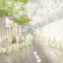 숲속의 컨벤션 이미지