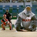 미스터고 이미지