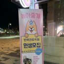 놀아줄개 이미지