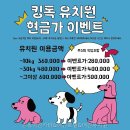 중앙유치원 | 킹독애견카페&amp;애견호텔&amp;애견유치원 직접 가보니 동선이 편했던 이유