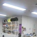 우다다햄쮸 이미지